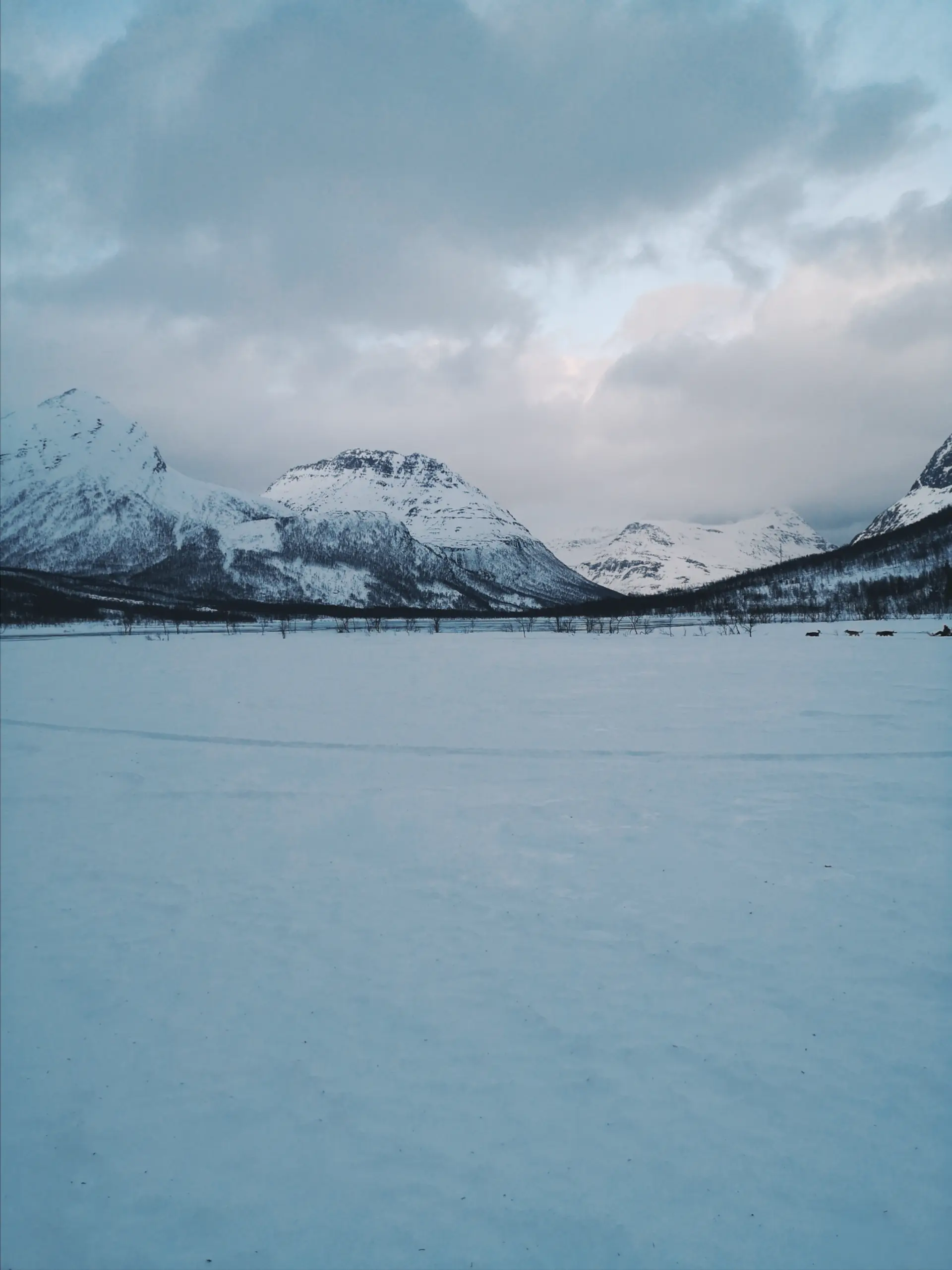 Husky Safari Tamokdalen